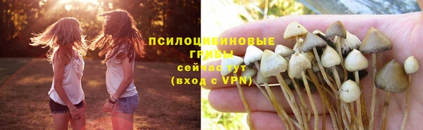 а пвп мука Алзамай