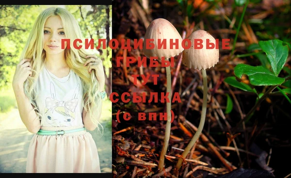 эйфоретик Алексин