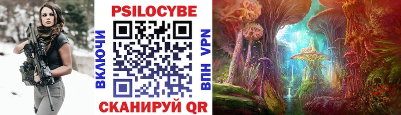 Галлюциногенные грибы MAGIC MUSHROOMS  наркота  Заполярный 