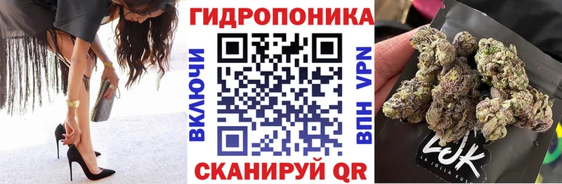 Конопля LSD WEED  Заполярный 